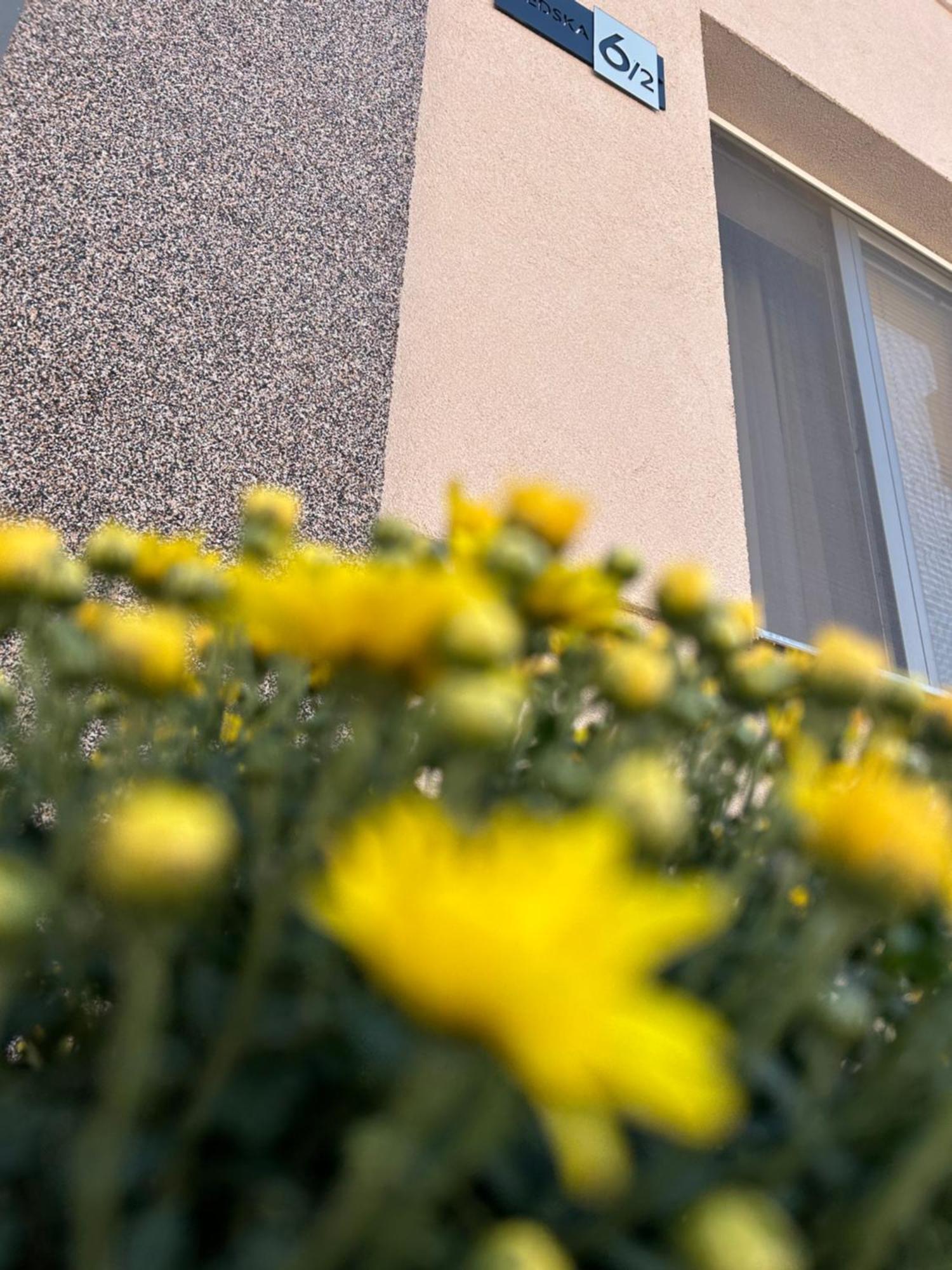 Apartman Tara Σουμπότικα Εξωτερικό φωτογραφία